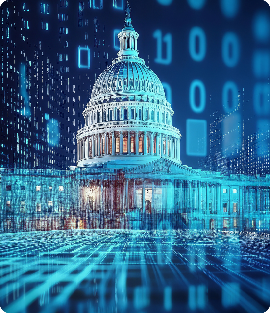 Government IT Infrastructure
